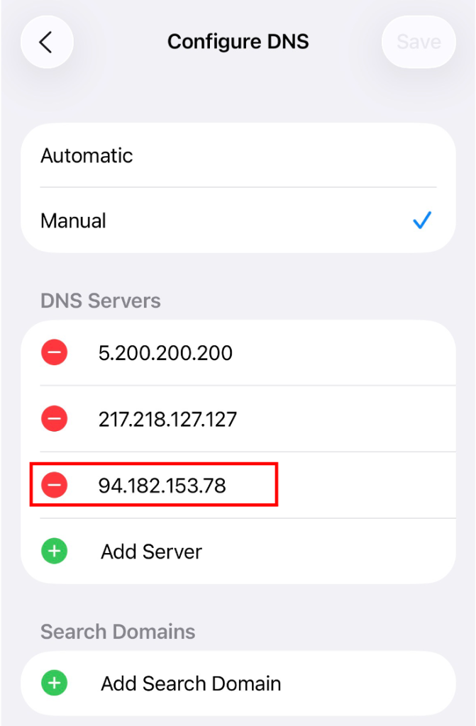 iPhone DNS configuration